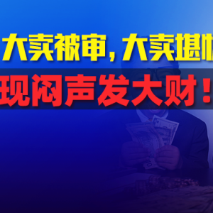 13亿天价罚款！上千主播急补缴！这边跨境圈大卖风口，小卖闷声发大财！ ...