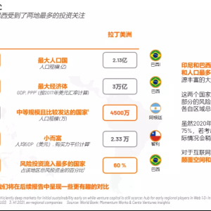 拉美与东南亚新兴市场对比报告[中文版]