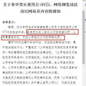 非法浏览境外网站，深圳某跨境公司和员工双双被行政处罚！ ...